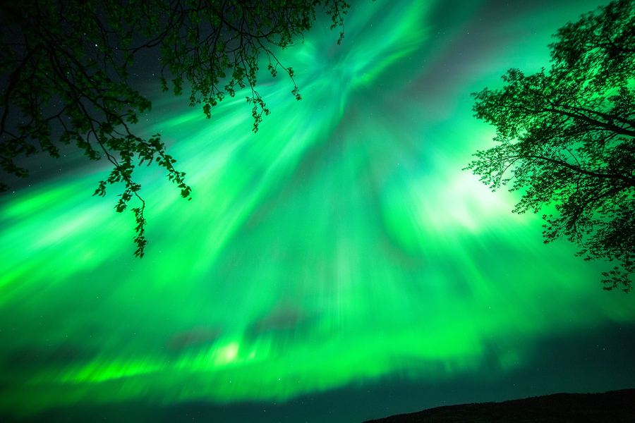 Aurora Over Moberly Lake, Peace Region