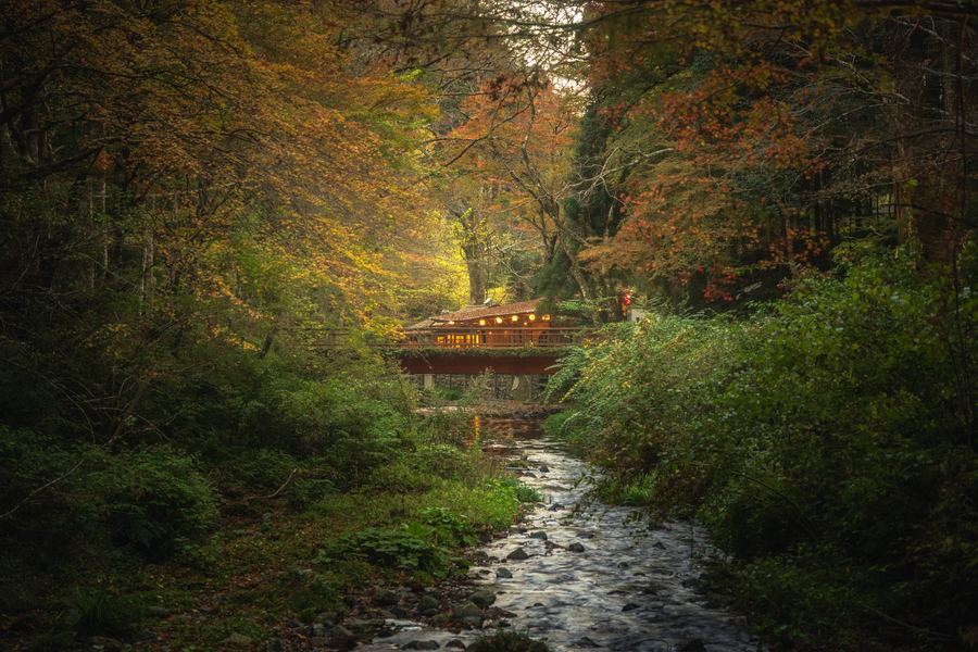 Autumn Stream, Japan