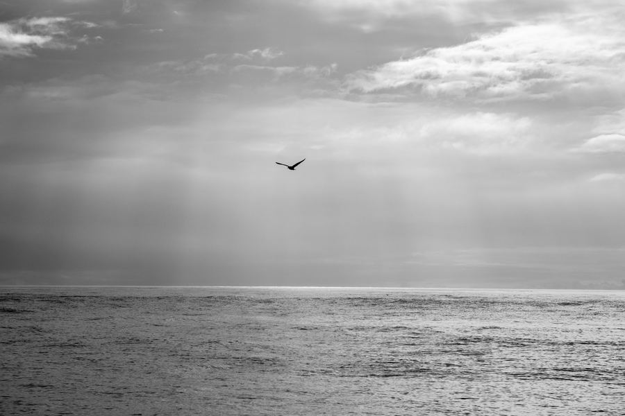Calm Seas, Pacific Northwest