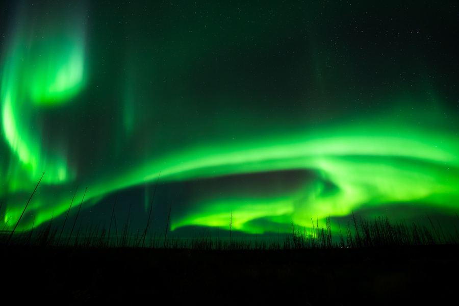Green Aurora, Recent work