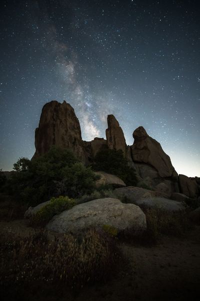 Joshua Tree, America