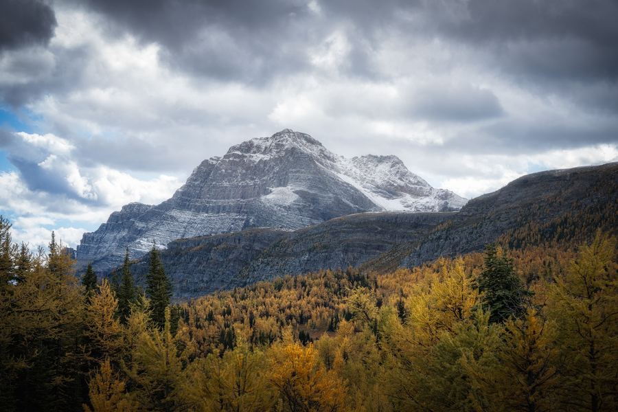 Larch Valley, Canadian Rockies