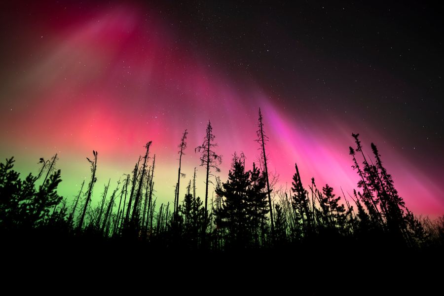 Pink Aurora, Peace Region