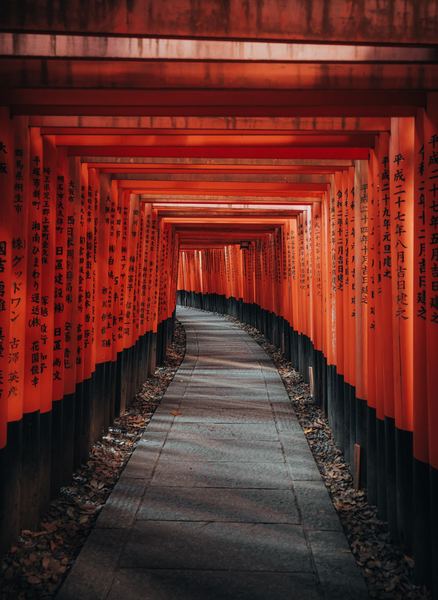 Red Torii Path, Japan