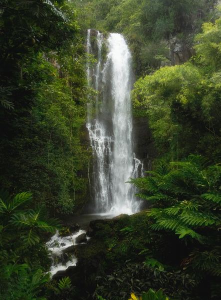 Road to Hana, America