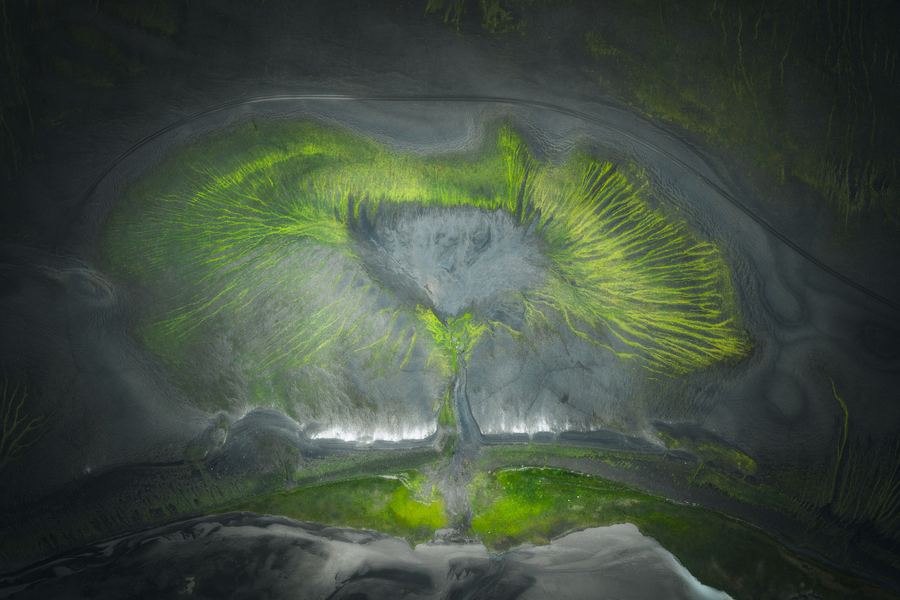 The Tree of Life, Iceland